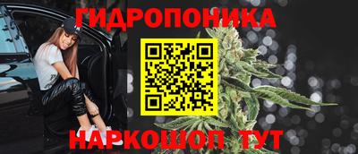 крисы Пыть-Ях