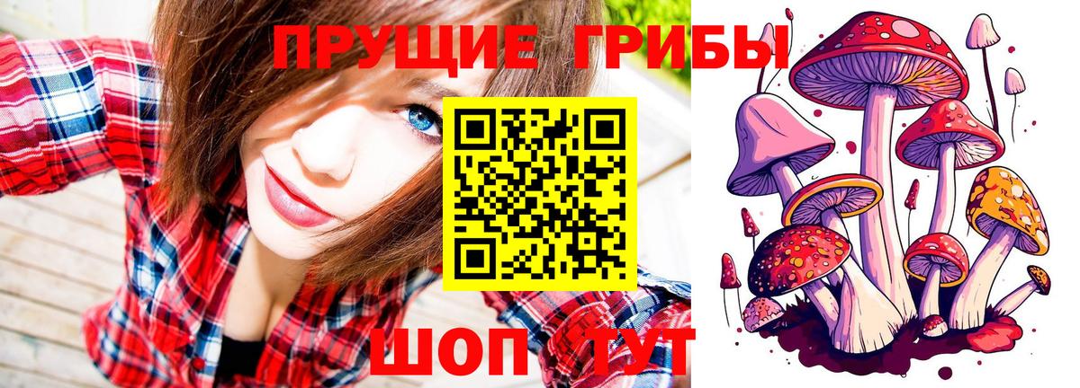Галлюциногенные грибы GOLDEN TEACHER Прокопьевск